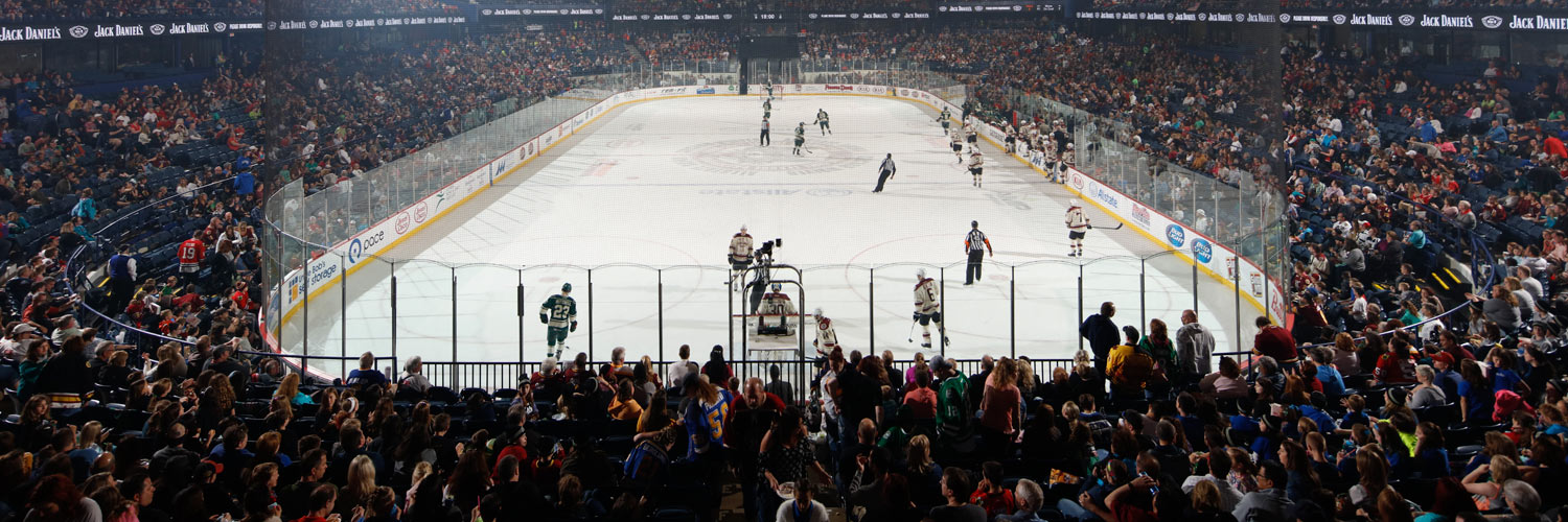 10 reasons to take your family to a Chicago Wolves game - Chicago