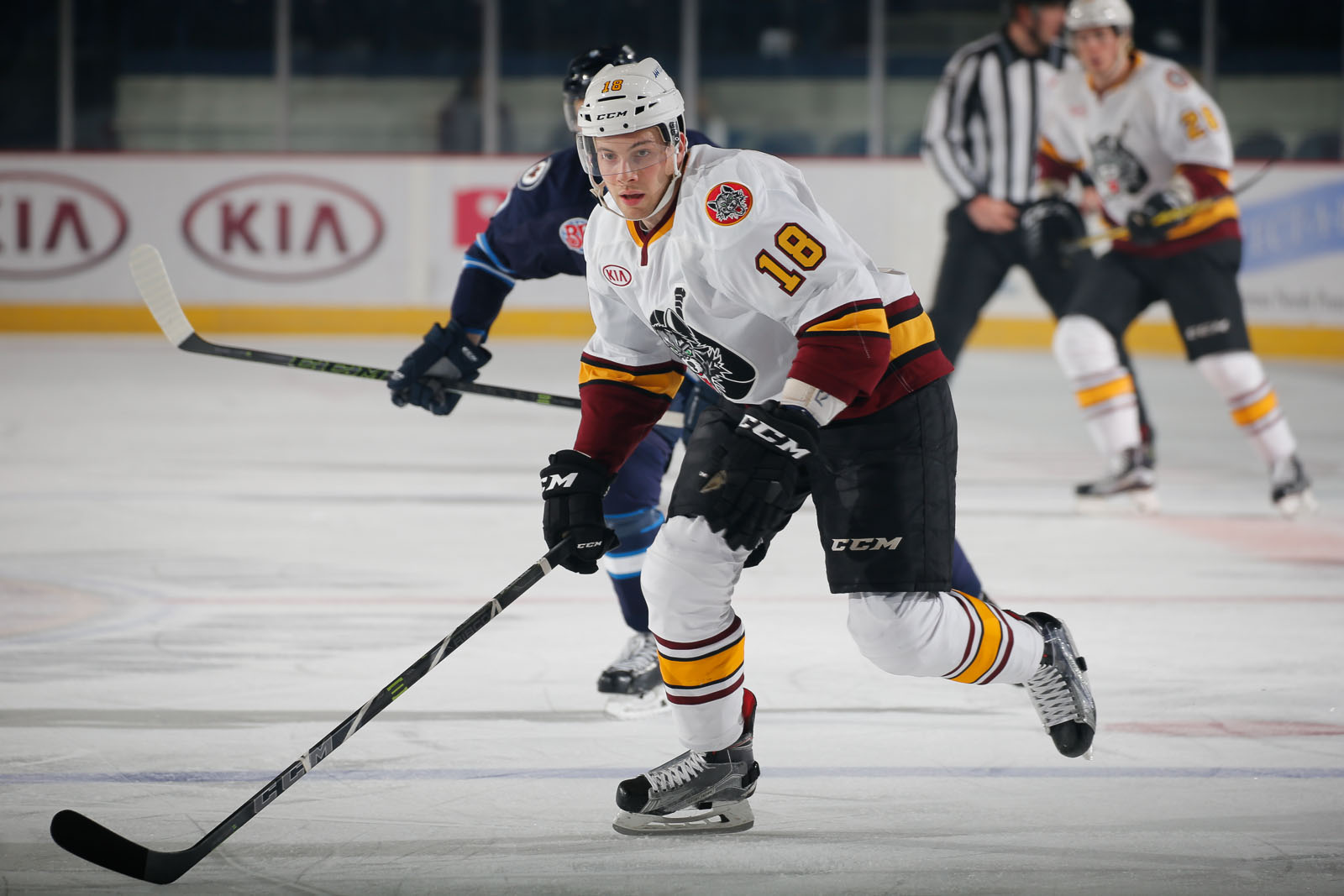 CHICAGO WOLVES PRESS NOTES, DEC. 713 Chicago Wolves