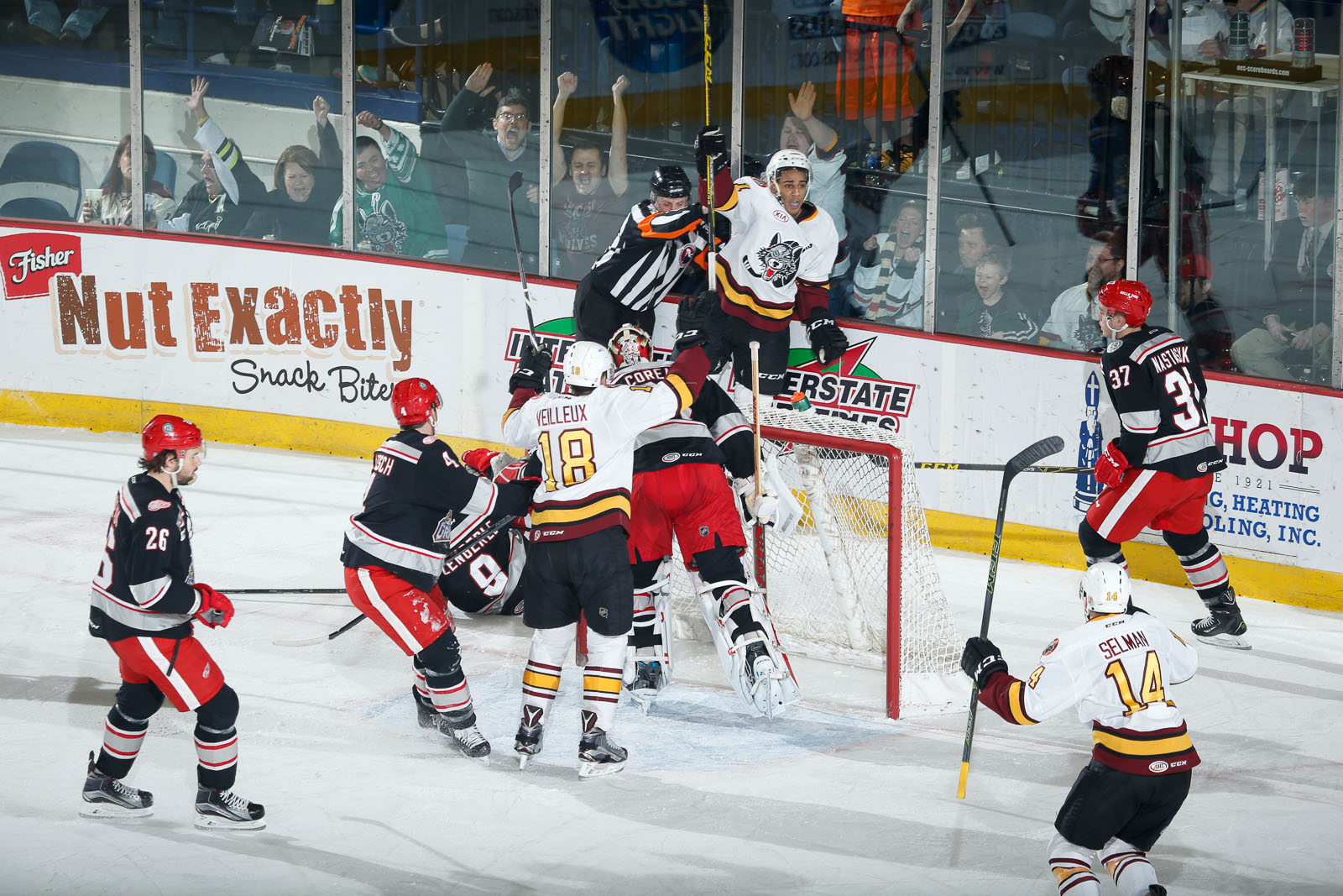 week-in-pictures-april-15-2016-chicago-wolves