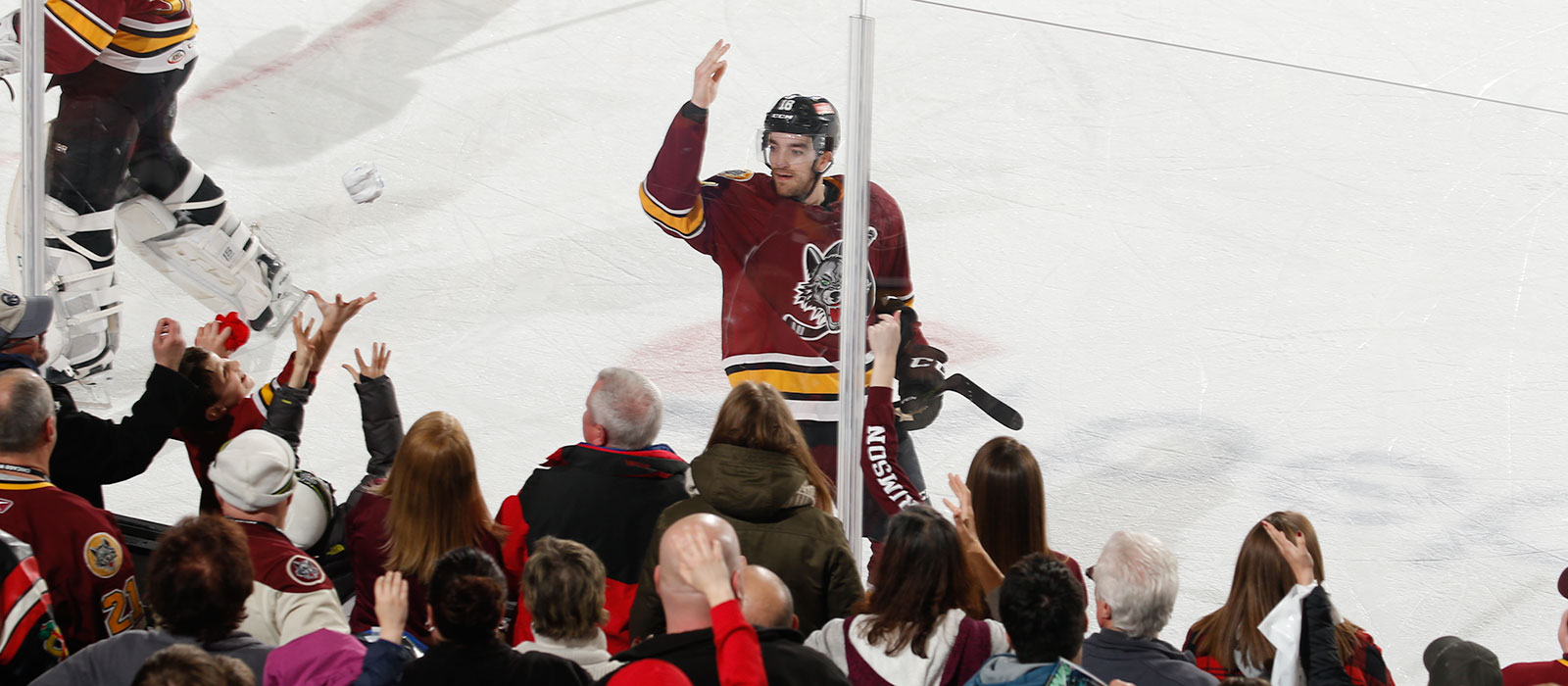 Wolves' March madness features multiple giveaway nights - Chicago Wolves