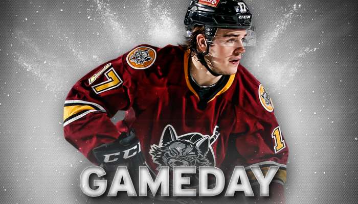 Chicago Wolves Gameday Samuel Blais