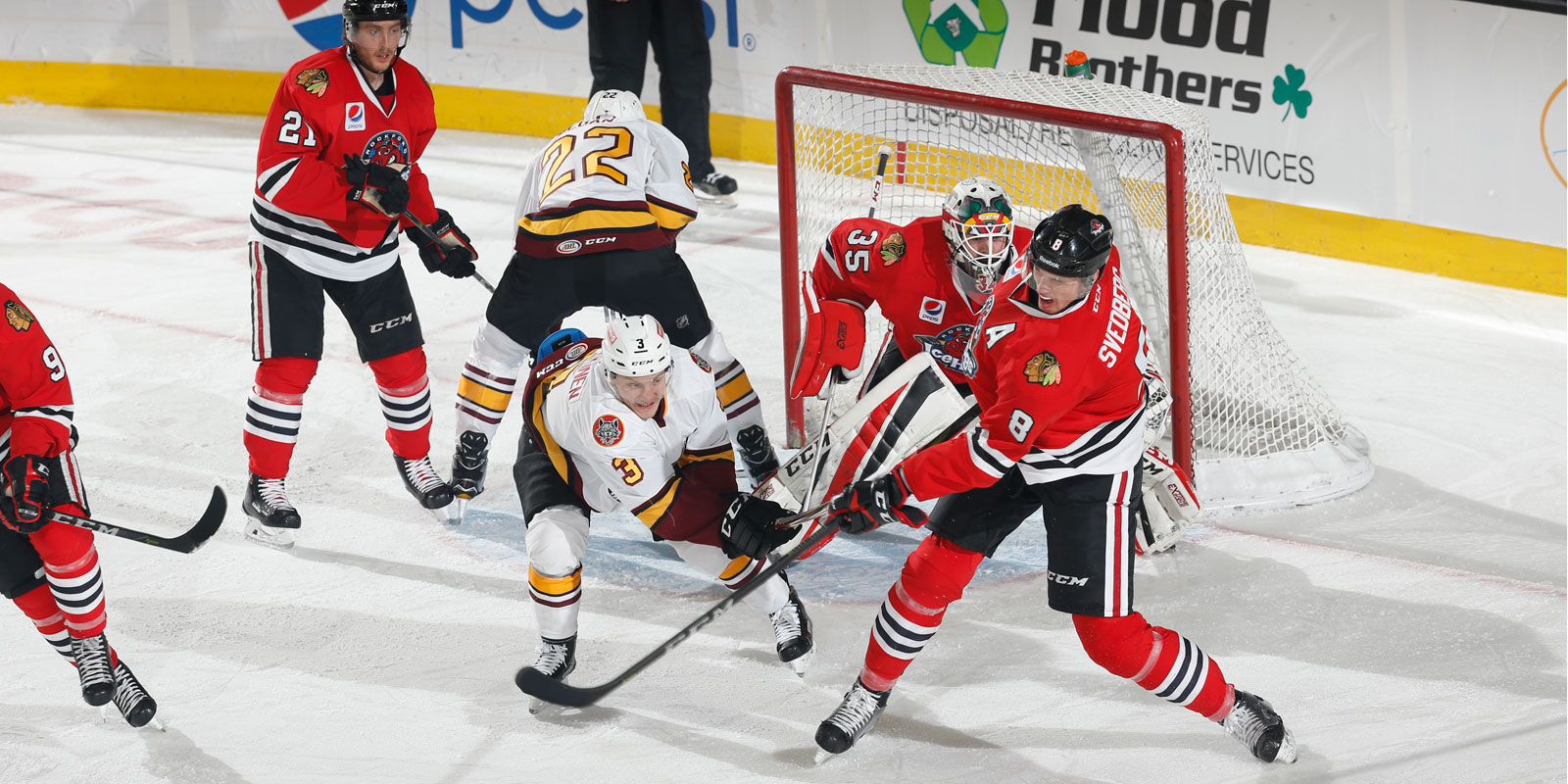 Gallery Nov. 25 vs. Rockford Chicago Wolves