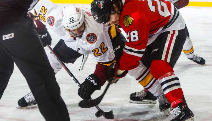 Blackhawks officially purchase the Rockford IceHogs