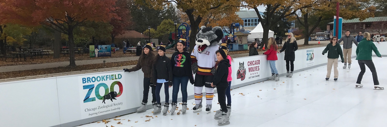 Chicago Wolves Skating Rink opens Saturday at Brookfield Zoo Chicago