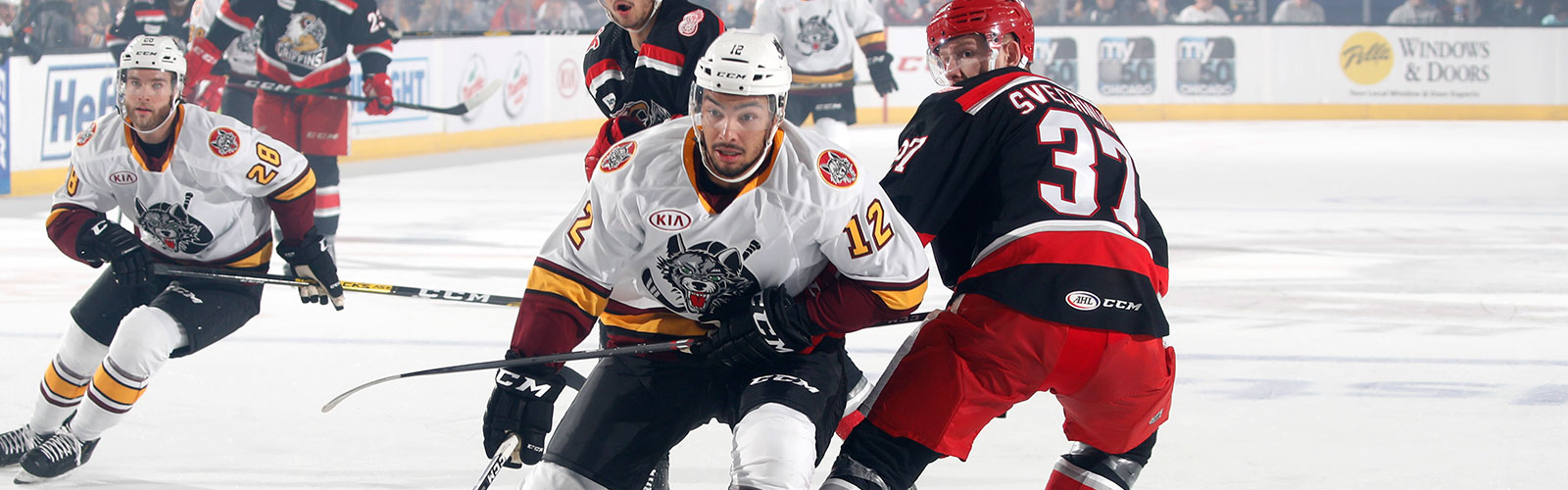 Grbp Wolves Gallery: Oct. 5 vs. Grand Rapids Griffins - Chicago Wolves