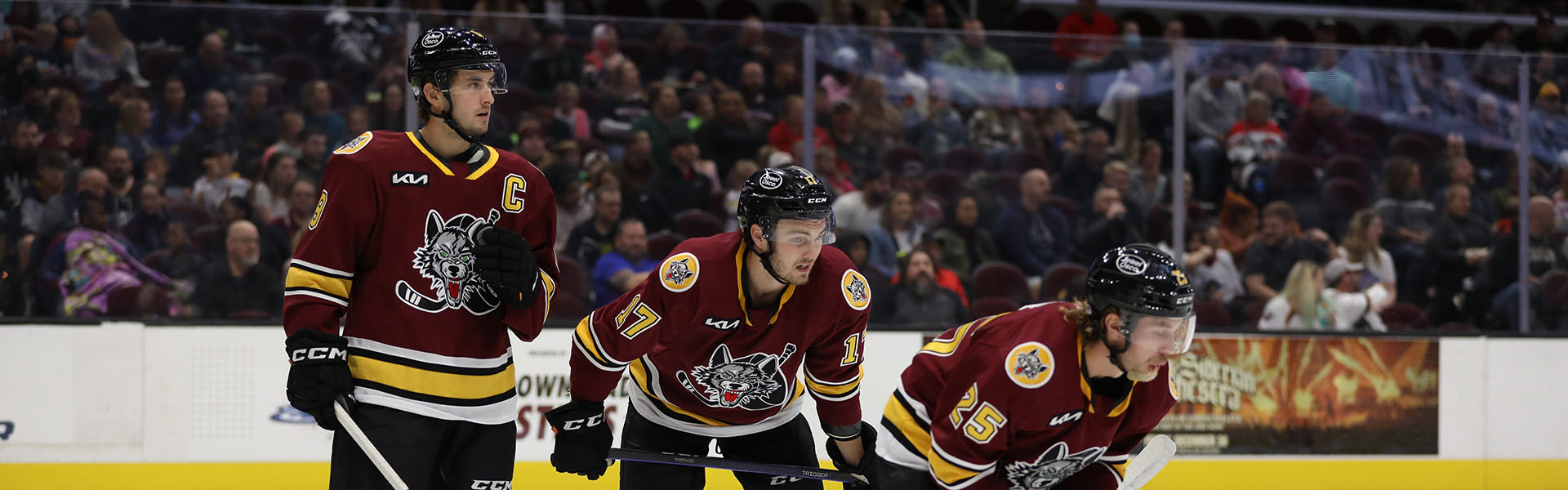 Max Wolves Max Lajoie Named Wolves Team Captain - Chicago Wolves