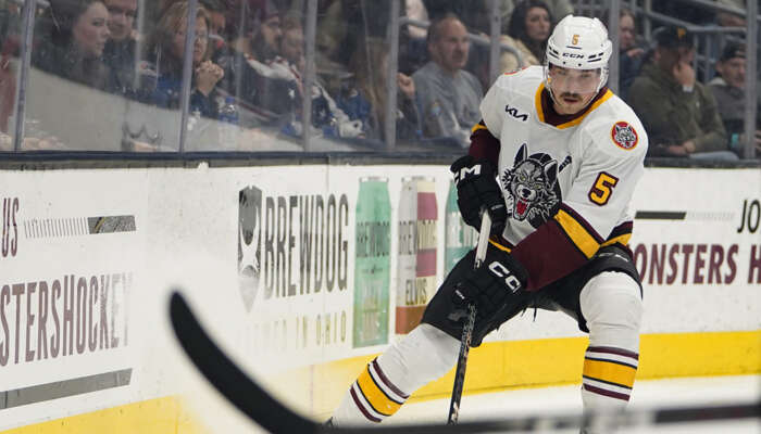 Ice Hockey Game Recaps  Chicago Ice Hockey Games - Chicago Wolves