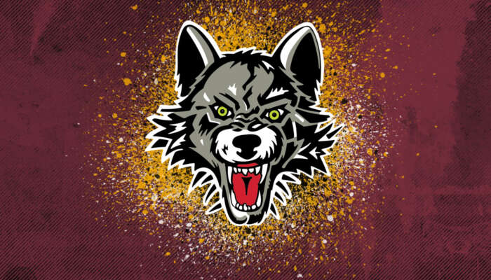 Chicago Wolves Transportation Service