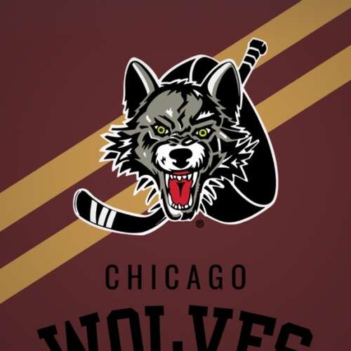 Free Desktop Wallpapers & Downloads - Chicago Wolves
