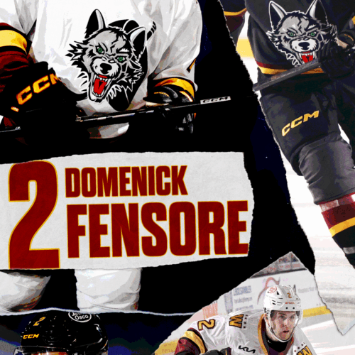 Free Desktop Wallpapers & Downloads - Chicago Wolves