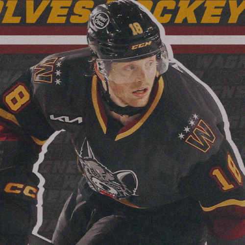 Free Desktop Wallpapers & Downloads - Chicago Wolves