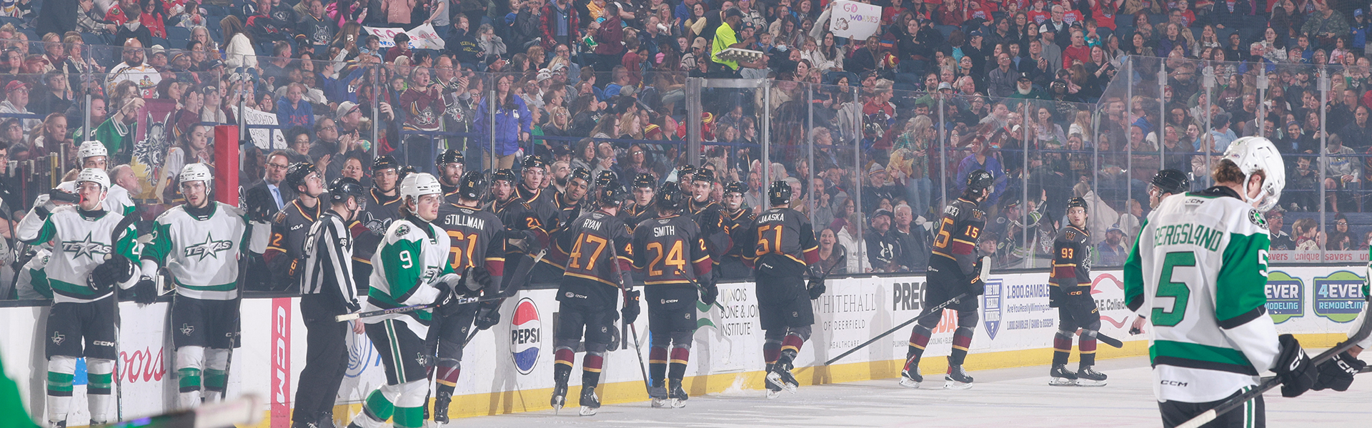WOLVES FALL TO STARS 3-1 - Chicago Wolves