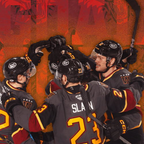 Free Desktop Wallpapers & Downloads - Chicago Wolves
