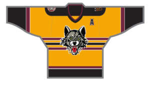 Chicago Wolves Full Season Ticket Plans