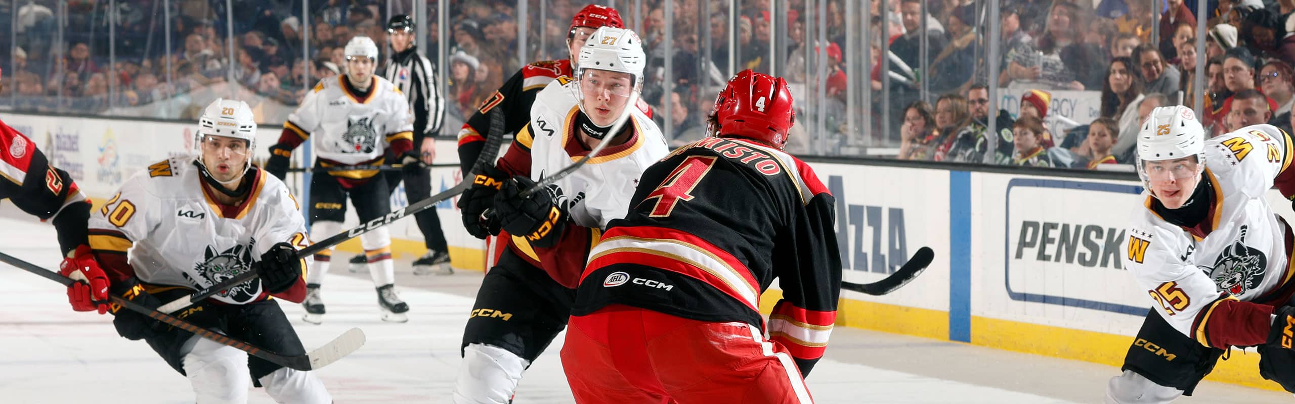 Grbp Wolves Gallery: Jan. 3 vs. Grand Rapids Griffins - Chicago Wolves