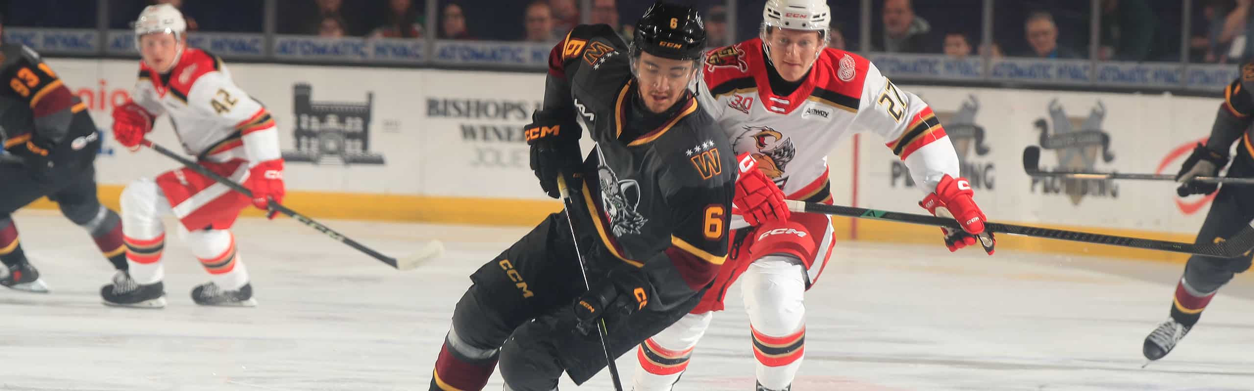 Grbp Wolves Gallery: March. 15 vs. Grand Rapids - Chicago Wolves