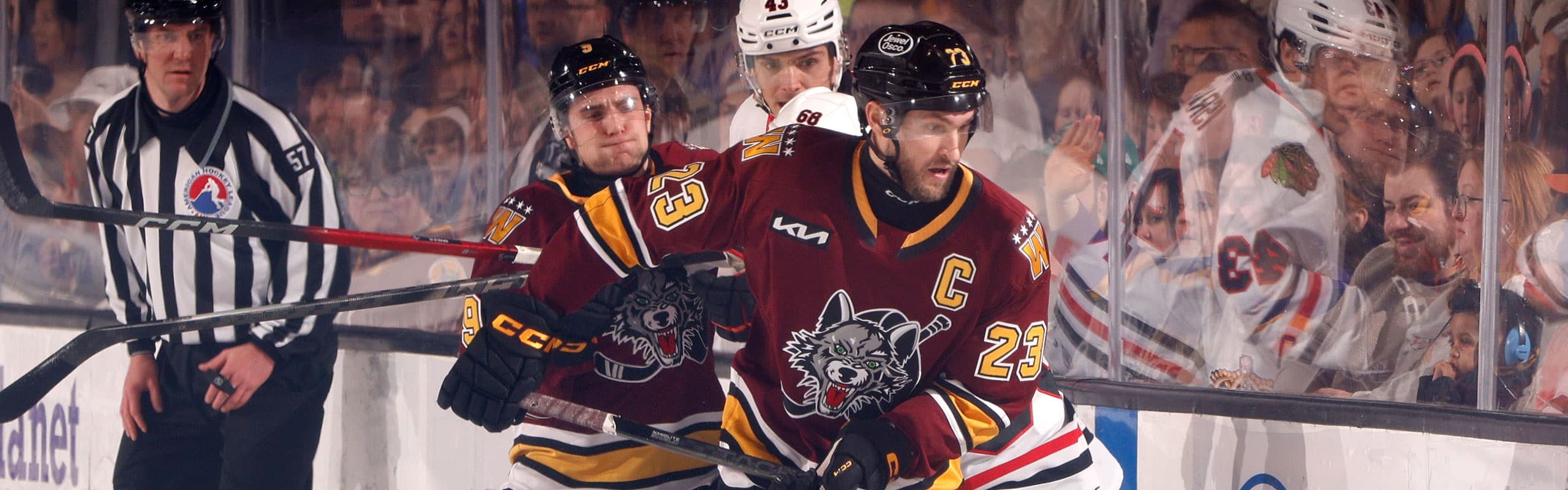 Chicago Wolves Rink Game Highlights: March 21 vs. Rockford Icehogs - Chicago Wolves