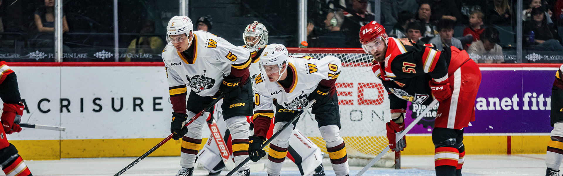 WOLVES EARN POINT WITH 3-2 OT LOSS TO GRIFFINS - Chicago Wolves