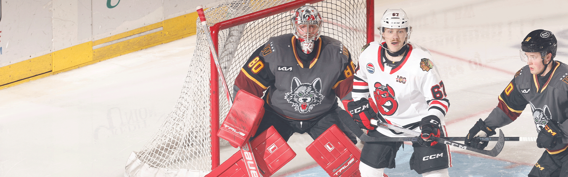 Chicago Wolves Rink WOLVES TOP ICEHOGS 4-2 TO CLINCH SECOND PLACE IN CENTRAL DIVISION ...