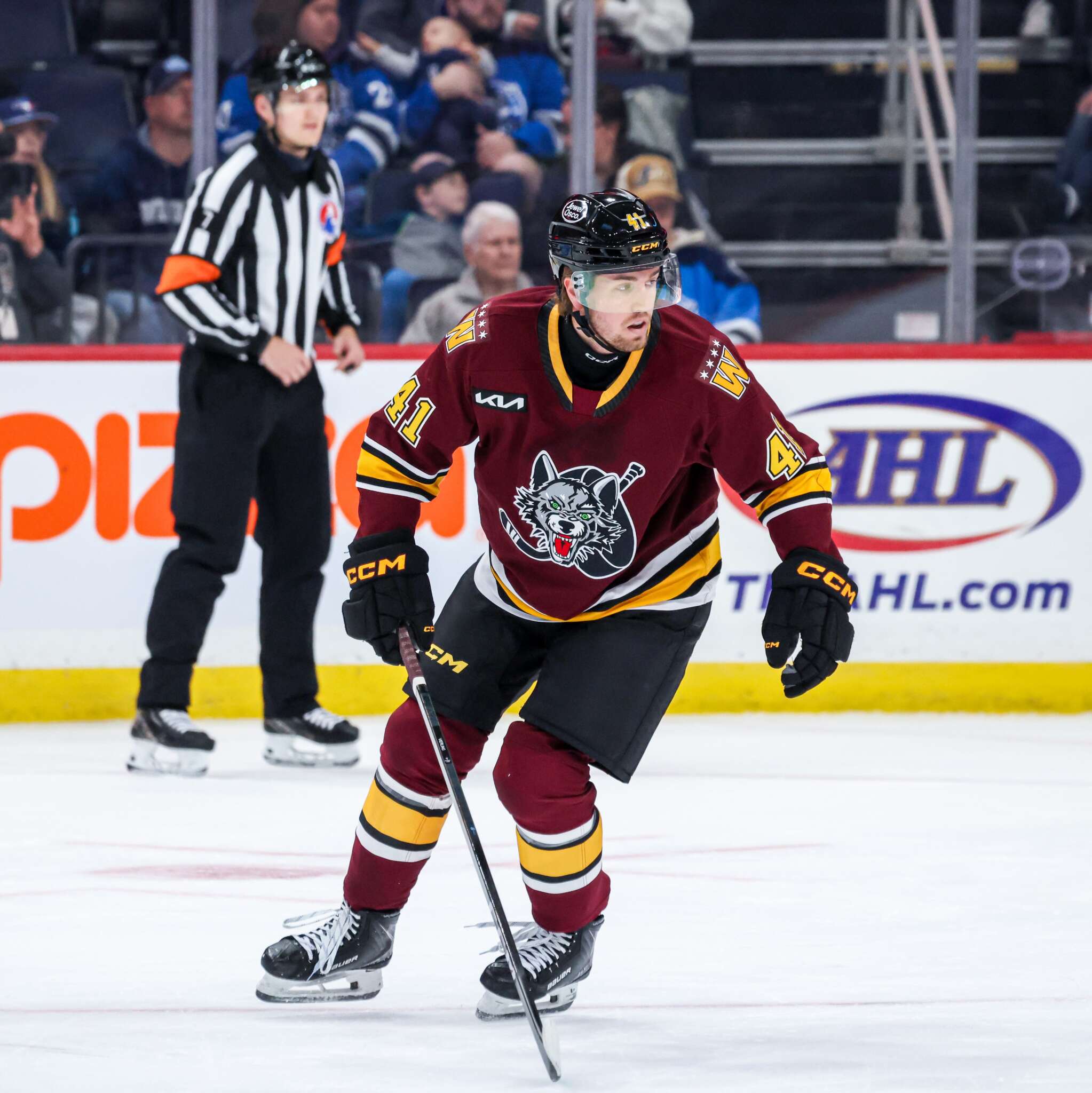 'It's good to be back' - Chicago Wolves
