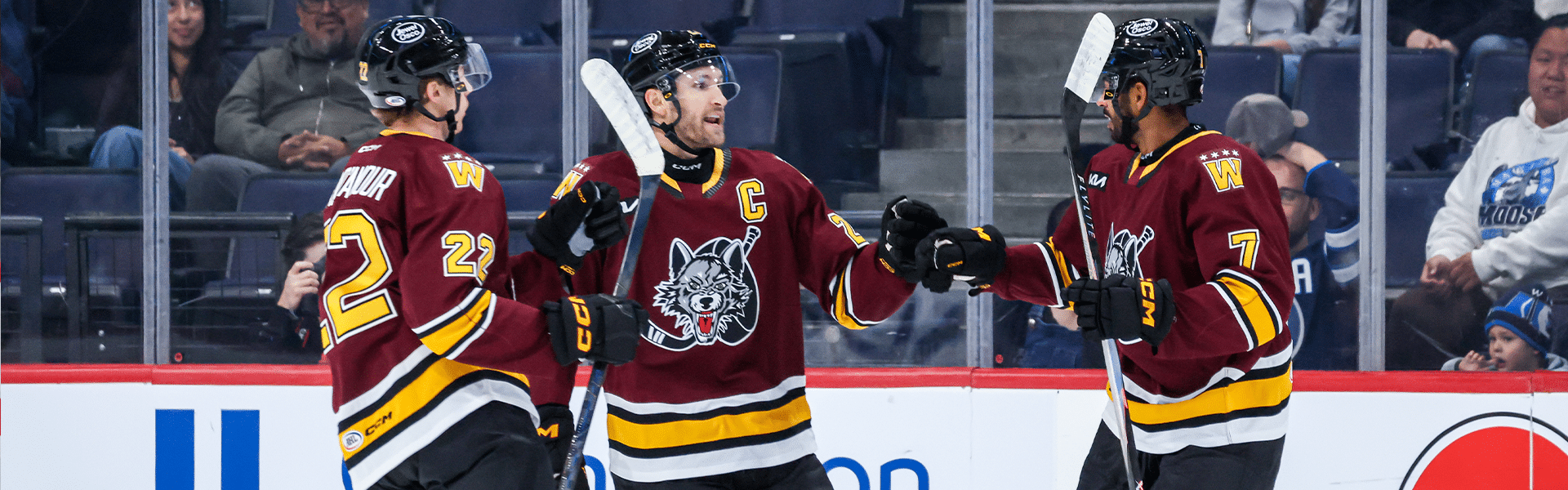 WOLVES DROP 8-3 DECISION TO MOOSE - Chicago Wolves
