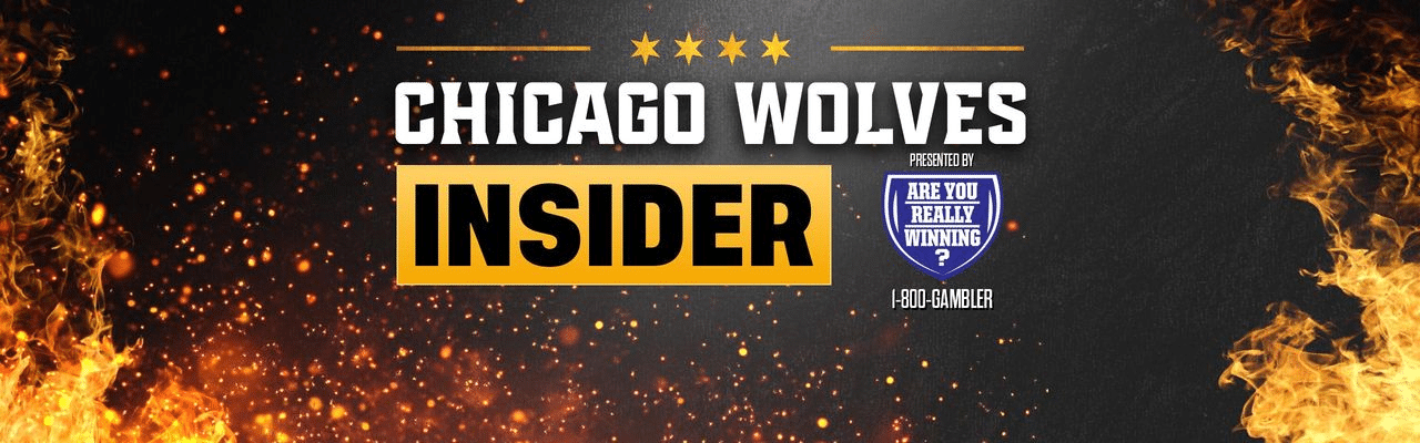 'It's good to be back' - Chicago Wolves